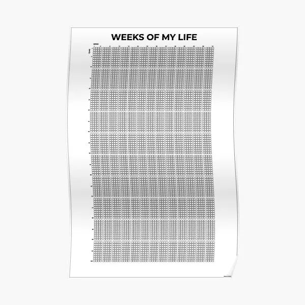 My Life in Weeks Motivational Poster.